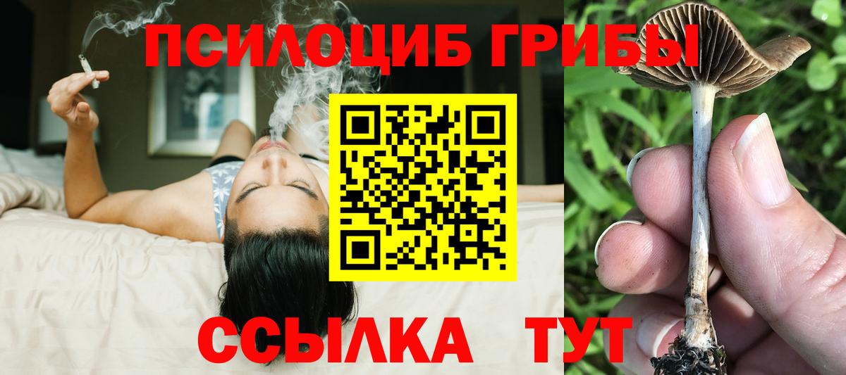 Псилоцибиновые грибы Psilocybine cubensis  Галлюциногенные грибы мицелий  Вход с VPN  Аргун 