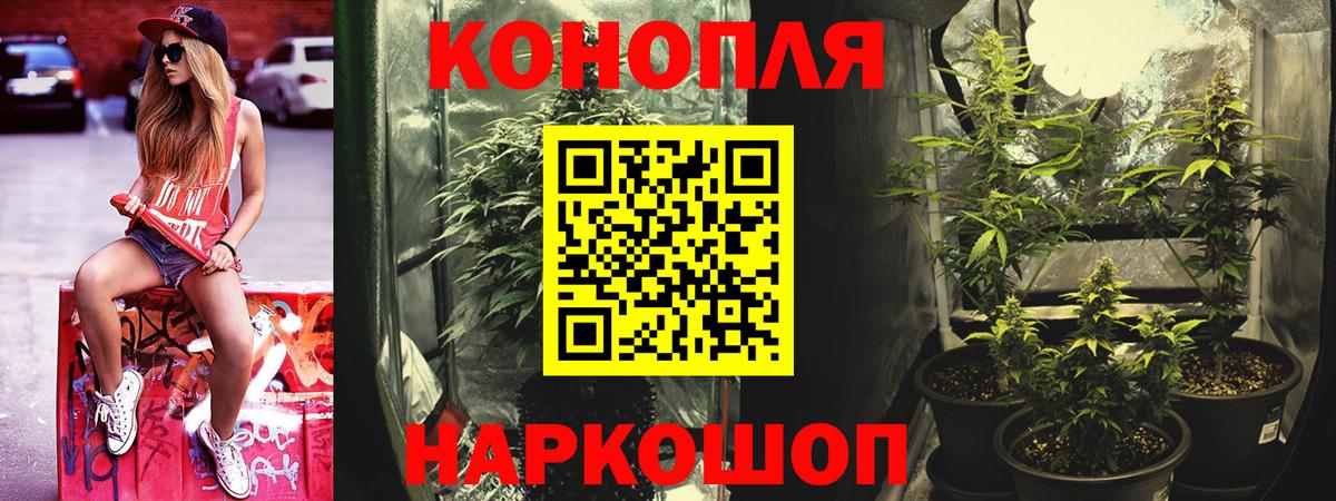 Бошки Шишки White Widow  Марихуана VHQ  Вход с VPN  Аргун 